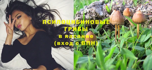 прущая мука Покров