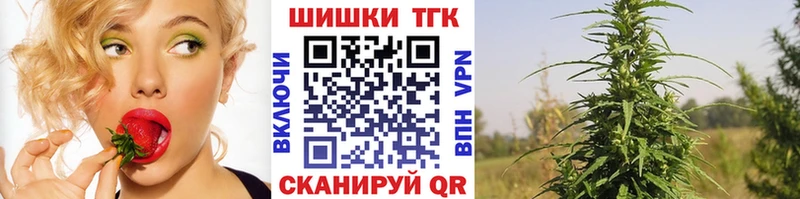 Канабис сатива  Купить закладки  Кировск 